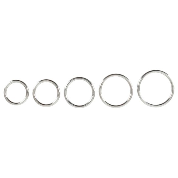 Bad Kitty - set metalnih prstenova za penis (5 delova)