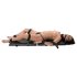 You2Toys - Bondage Board - prenosivi set za vezivanje (13 delova)