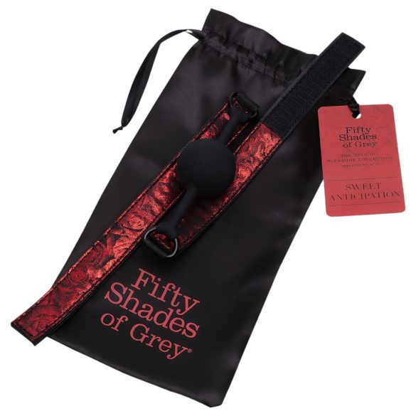 Pedeset nijansi sive - kugla za usta (crno-crvena)