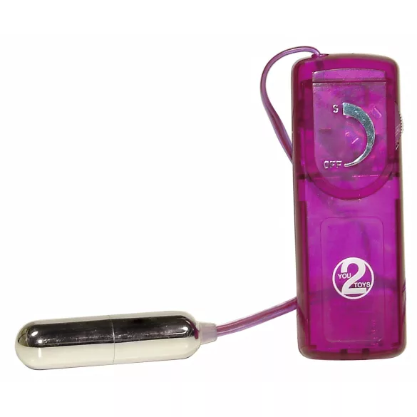 You2Toys - Erotska iznenađenja - set vibratora (12 delova)