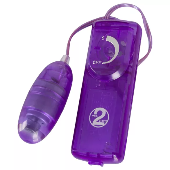You2Toys - Ljubičasti užitak - komplet sa vibratorom (9 delova)