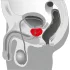 You2Toys - Masažer prostate - rotirajući vibrator za prostatu (crni)