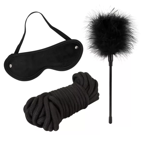 tease & please - Master & Slave - premijum BDSM set za parove (13 delova)