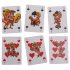 Kama Sutra zabavna karata - set 24 komada