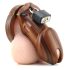 CB-6000 - luksuzni kavez za penis sa bravicom (drvo)