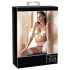 Abierta Fina - Svež zanos - trio brushaltera - 85B/L