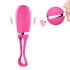 Dorcel Secret Delight - bežični vibro-jaje (roze)