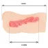TAMASHII srednjoškolka - hentai veštačka vagina masturbator (natur)