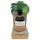 Coconutoil - Bio bronz ulje (80ml)