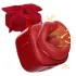 SEX HD Lovely Kiss - vibrator za lizanje i sisanje (crveni)