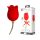 Pretty Love Rose Lover - dvostruki vibrator ruža (crveni)