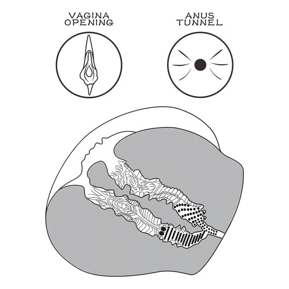 Lovetoy Streetgirl's 12 - realistično torzo vagine sa tangama (tamna boja)