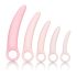 CalExotics Inspire - Set za vežbanje vaginalnih mišića (roze)