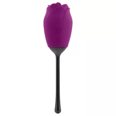   Playboy - vodootporni vibrator s jezikom u obliku ruže na punjenje (ljubičasti)