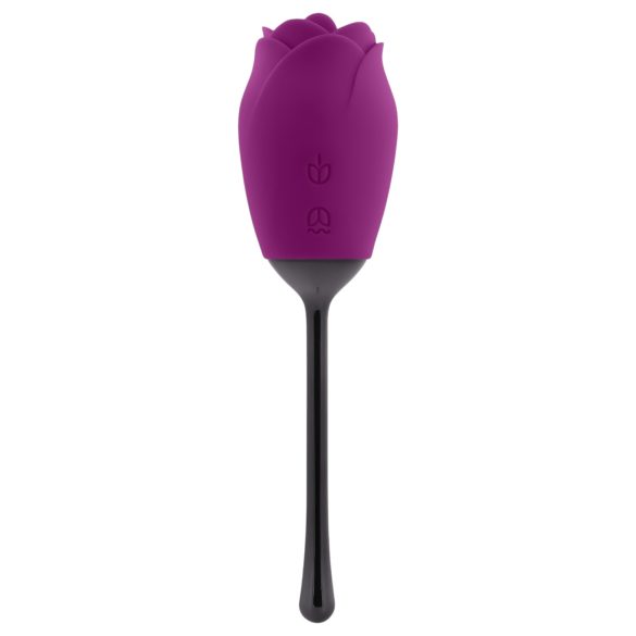 Playboy vodootporni jezičasti vibrator ruža (ljubičasta)