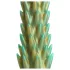 Stvor Cocks Stegosaurus - silikonski dildo - 20cm (zeleni)