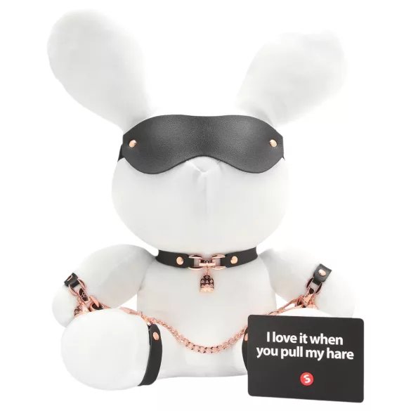 Bondage Zeka - BDSM beli zeka