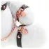 Bondage Zeka - BDSM beli zeka