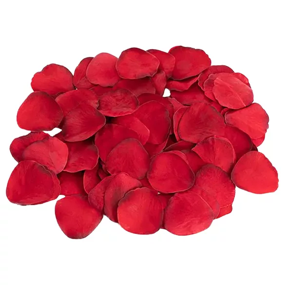 Dreamtoys Amour - set vibratora za nosive gaćice (crvene)